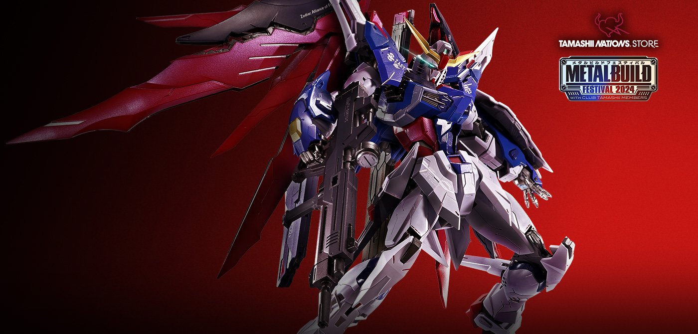 METAL BUILD デスティニーガンダム（フルパッケージ） [METAL BUILD