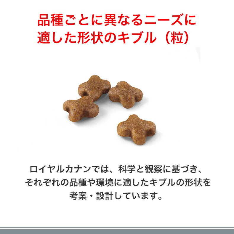 楽天市場】【LINE追加で500円OFF！】ロイヤルカナン キトン 2kg / 成長