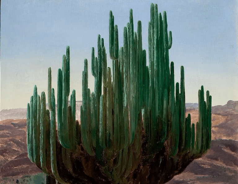 Masterpiece Story: Cardón, State of Oaxaca by José María Velasco