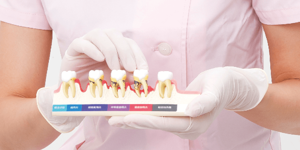 院内コミュニケーション向け商品｜株式会社ニッシン｜歯科模型・歯科