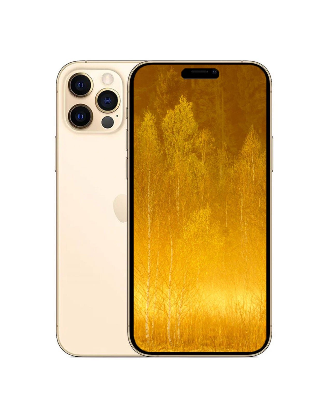 Apple iPhone 人気 12Pro 256G ゴールド 本体 SIMフリー 美品✨ Apple