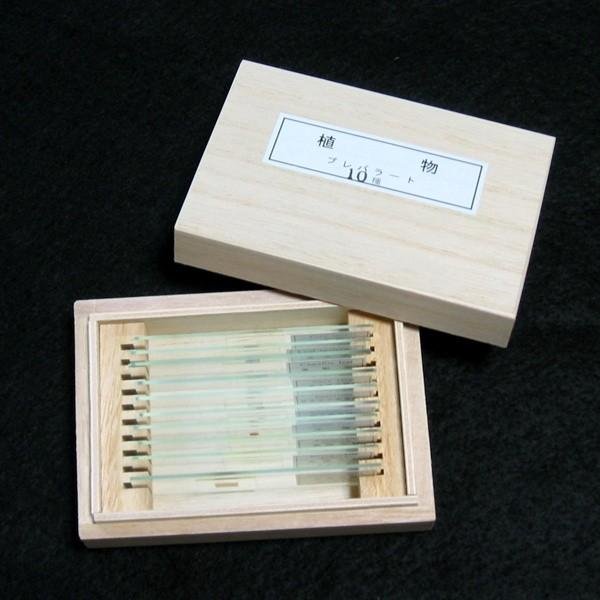 顕微鏡プレパラート上野科学社製植物組織74種