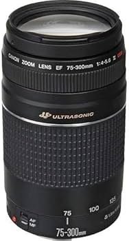 Amazon.co.jp: Canon EFレンズ EF75-300mm F4-5.6 IIIズームレンズ