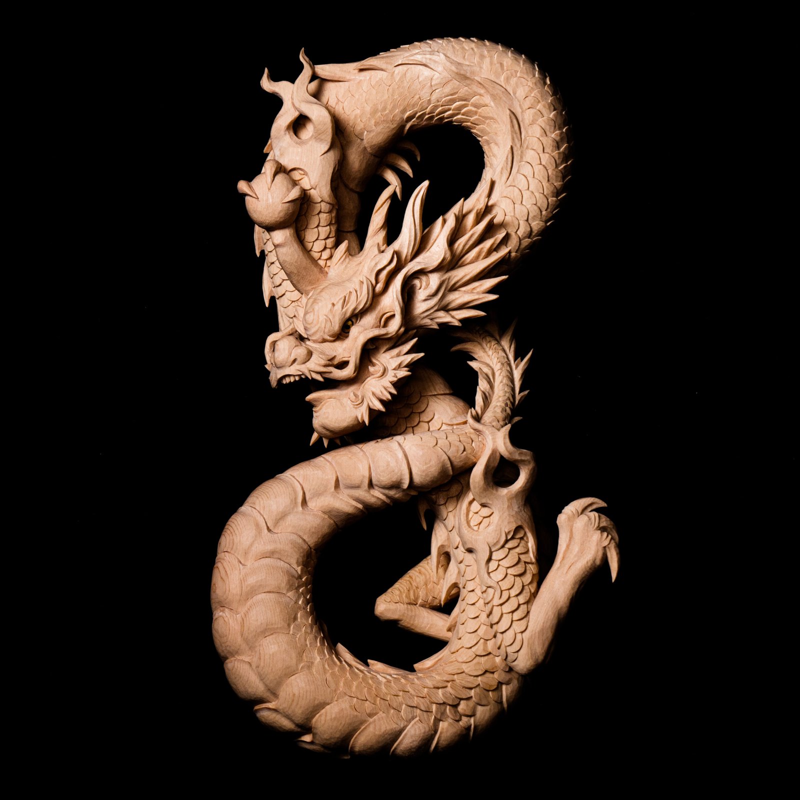 1379 木の根 切株 竜 龍 Dragon