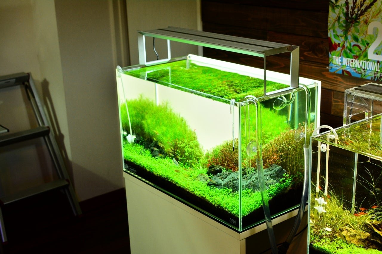 ADA アクアスカイG 301 水草育成用LED照明 【公式通販】