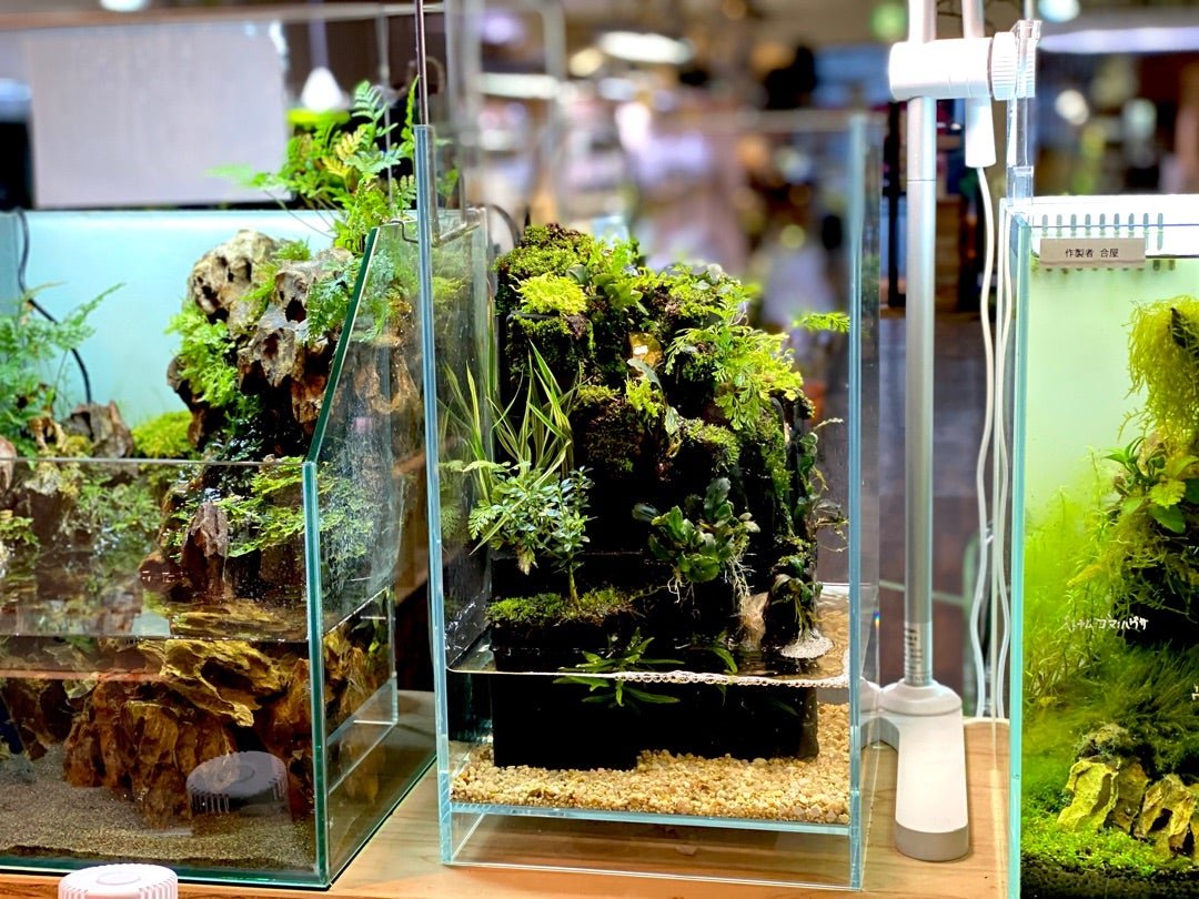 ADA キューブガーデン60 ハイタイプ